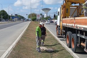 Cabos e fios da iluminação pública são furtados no viaduto da antiga PRF