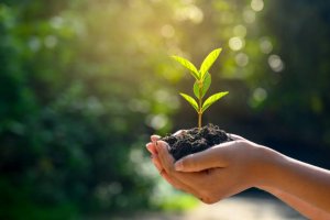 Corredores se unem em prol do planeta terra na Meia Maratona da Amazônia 2025