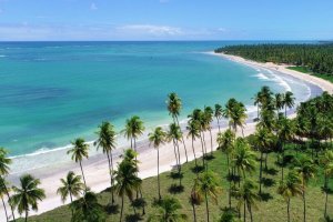 Airbnb: Como rentabilizar até 27% ao ano em São Miguel dos Milagres?