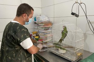 IMA arrecada mais de 200 kg de doações para o cuidado de animais silvestres resgatados