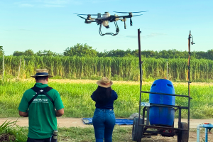 Investimentos da Sudene impulsionam inovação e transformação digital da fruticultura do São Francisco