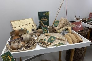 Herbário MAC comemora Dia Internacional dos Museus unindo ciência e visitação pública