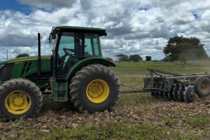 Agricultores familiares de Penedo estimam colher mais de 120 toneladas de feijão
