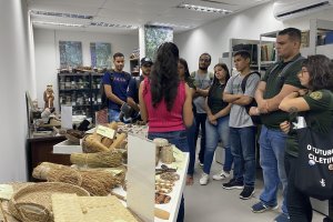 Herbário MAC abre as portas diariamente no Mês do Meio Ambiente