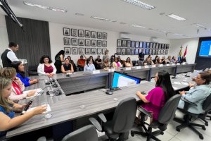 Semu Penedo é destacada durante reunião com Ministra da Mulheres em Maceió