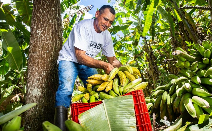 Em Alagoas, sistema cooperativista tem se destacado por valorizar a individualidade dos associados e da cultura local