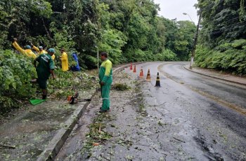 No bairro Petrópolis, agentes realizaram podas para evitar que árvores tombem na pista. | Ascom Alurb