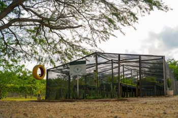 Empresa preserva mata equivalente a mais de 635 campos de futebol em Alagoas | Zóio Comunicação