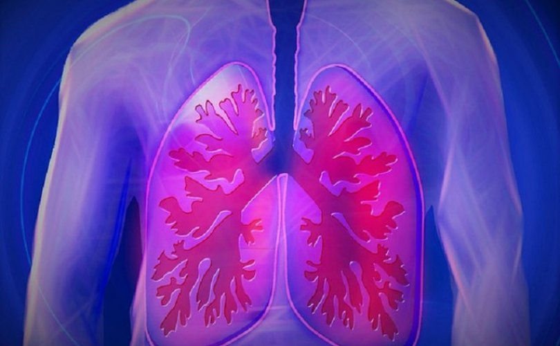 Programa de controle da tuberculose hospitalar no HU será apresentado dia 20 de abril