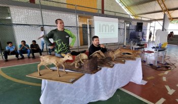 Uma das ações da educação ambiental durante a FPI é o recebimento de animais silvestres por meio da entrega voluntária. Ascom IMA-AL