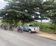 IMA cobra da Prefeitura de Arapiraca plano de manejo para jacarés