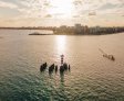 Governo de Alagoas anuncia apoio a 33 eventos científicos em 2025