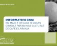Mercado do agro ofereceu 27,7 mil novos postos de trabalho em maio; café e laranja são destaques