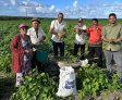 São Miguel dos Campos realizará colheita do Projeto “Comida na Mesa” na zona rural do Barro Branco
