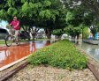 Arapiraca abre consulta pública para construção do Plano de Mobilidade Urbana