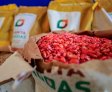 Governo de Alagoas investe mais de R$ 26 milhões em ações para agricultura familiar no primeiro semestre