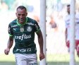 Palmeiras vence o Fluminense e é o Campeão virtual
