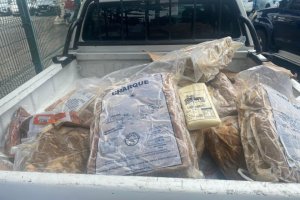 Vigilância Sanitária apreende mais de 600 kg de alimentos estragados e clandestinos na Levada