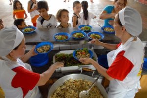 Sistema de Gestão do Pnae tem novo módulo para cadastro de Conselheiros da Alimentação Escolar