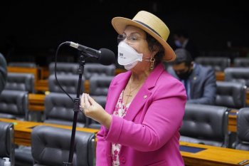 A deputada Tereza Nelma é a procuradora da Mulher na Câmara (Foto: Pablo Valadares/Câmara dos Deputados)