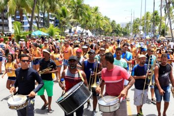 Foliões devem ter cuidado com o excesso de barulho durante o Carnaval - Carla Cleto