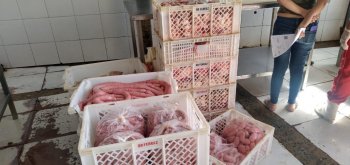 Carnes bovinas, frangos, linguiça caseira e queijo clandestino foram recolhidos dos frigoríficos. Foto: Visa Maceió