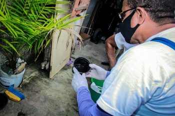 Agentes de endemias atuam em mutirão de combate a dengue